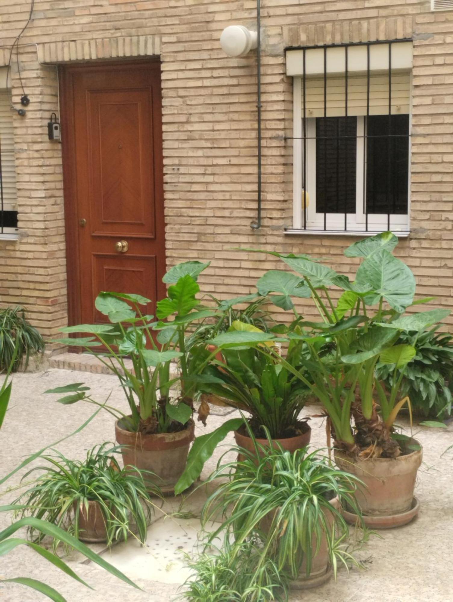 Apartamento La Casa De Pepa