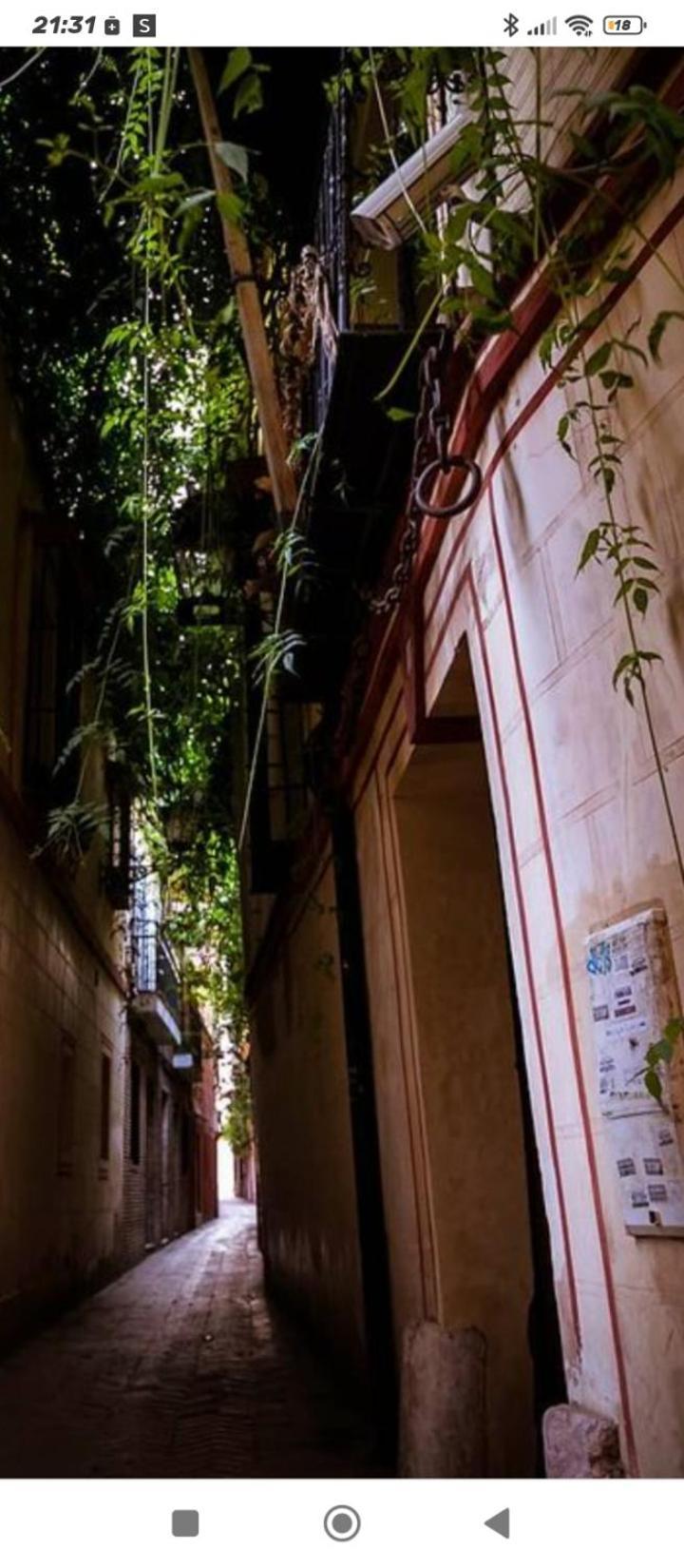 La Casa De Pepa Apartamento