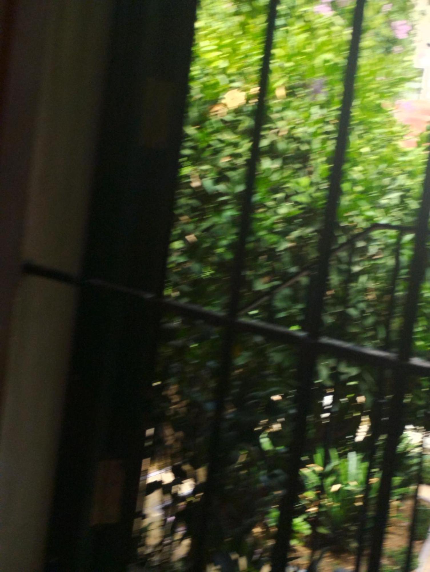 La Casa De Pepa Siviglia